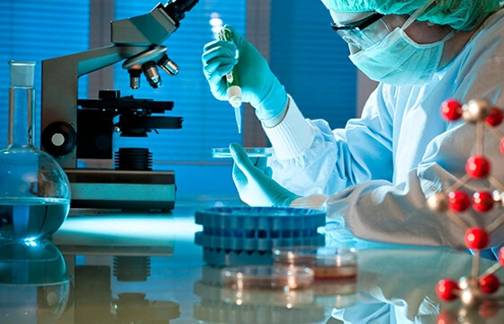 바이오 기반 화학 공정