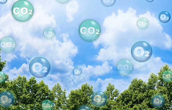 직접 공기 탄소 포획을 위한 화학 공정