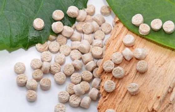 바이오 기반 화학 물질의 기술 응용