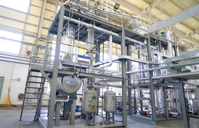 DODGEN 화학 총지배인 Kang Xiaoling Dt 신소재와 대화