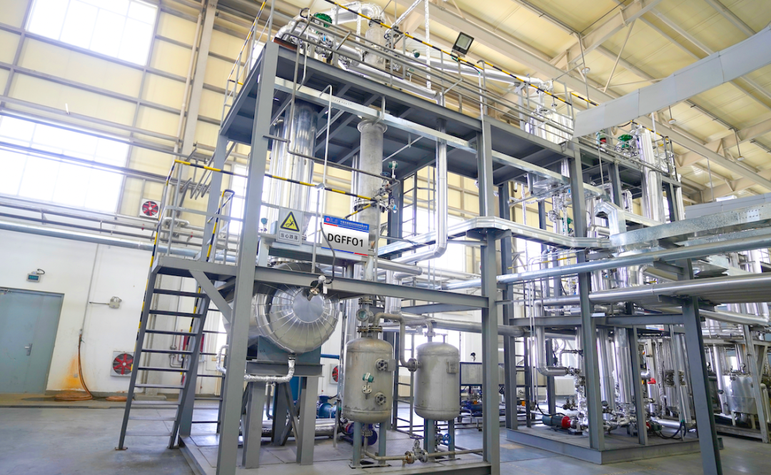 What Are the Representative Solutions of Dodgen on the Process What Are the Representative Solutions of Dodgen on the Process