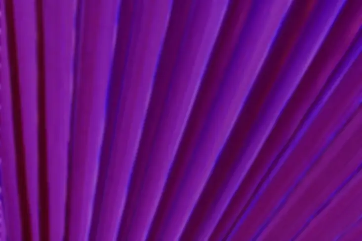 화학 공정 기술 명예 인증서