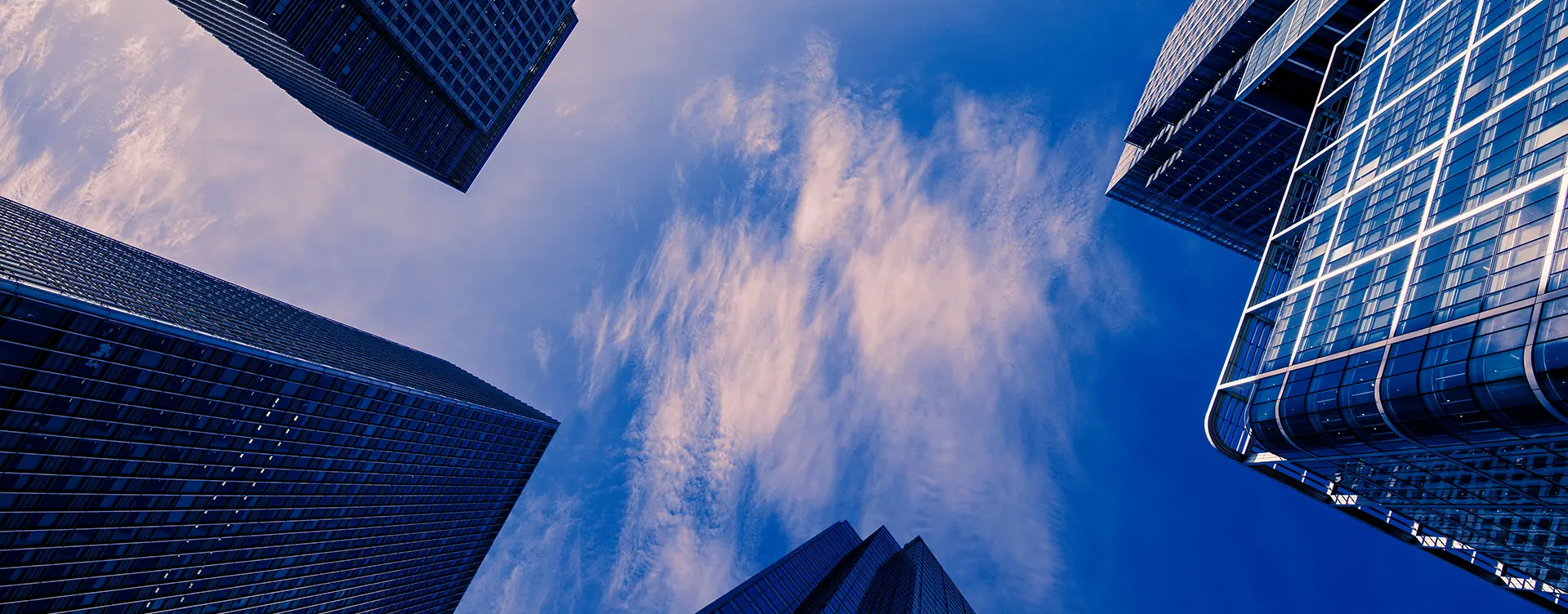 DODGEN 화학 공정