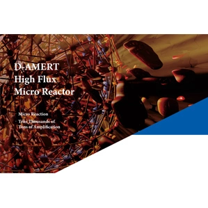 DODGEN 높은 플럭스 마이크로 원자로