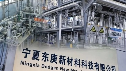 중국 국제 산업 박람회에서 신소재 산업 발전 정상 회의 포럼 | DODGEN은