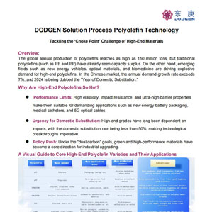 DODGEN 솔루션 공정 폴리 올레핀 기술